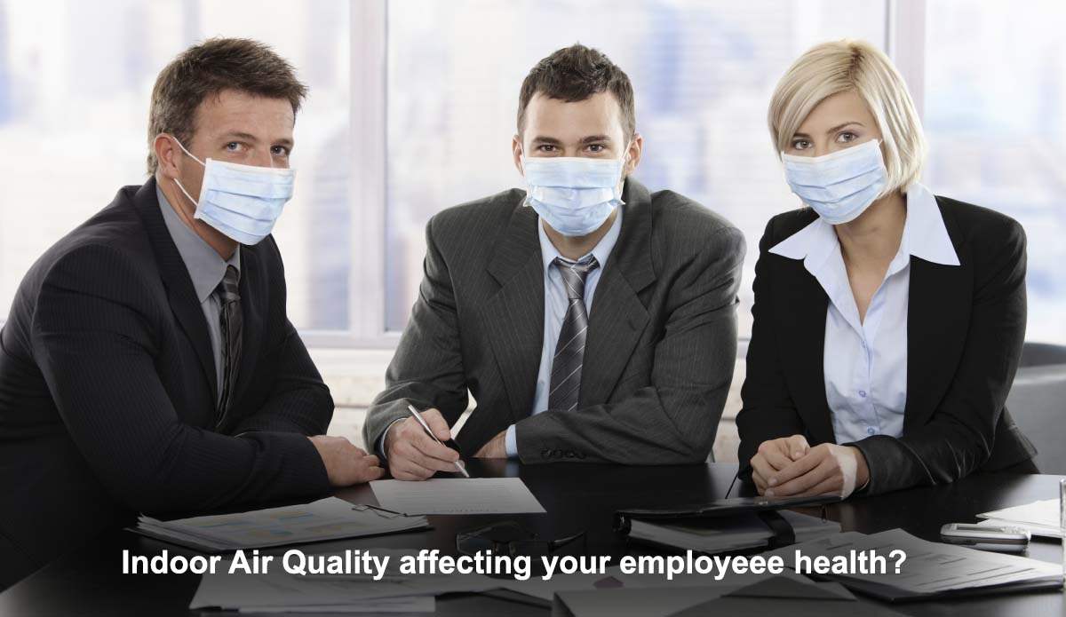 How to improve indoor air quality in your office